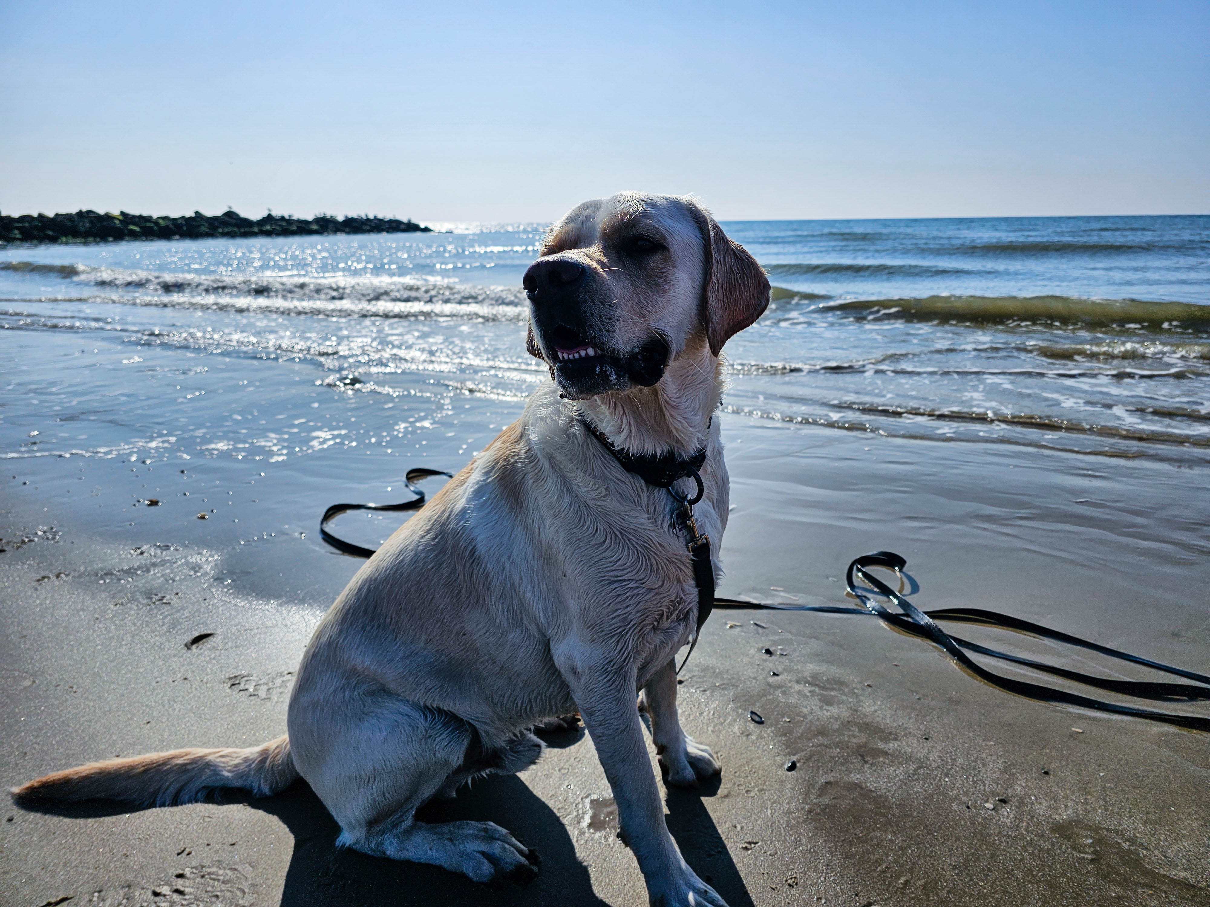 AdobeStock_1068849169