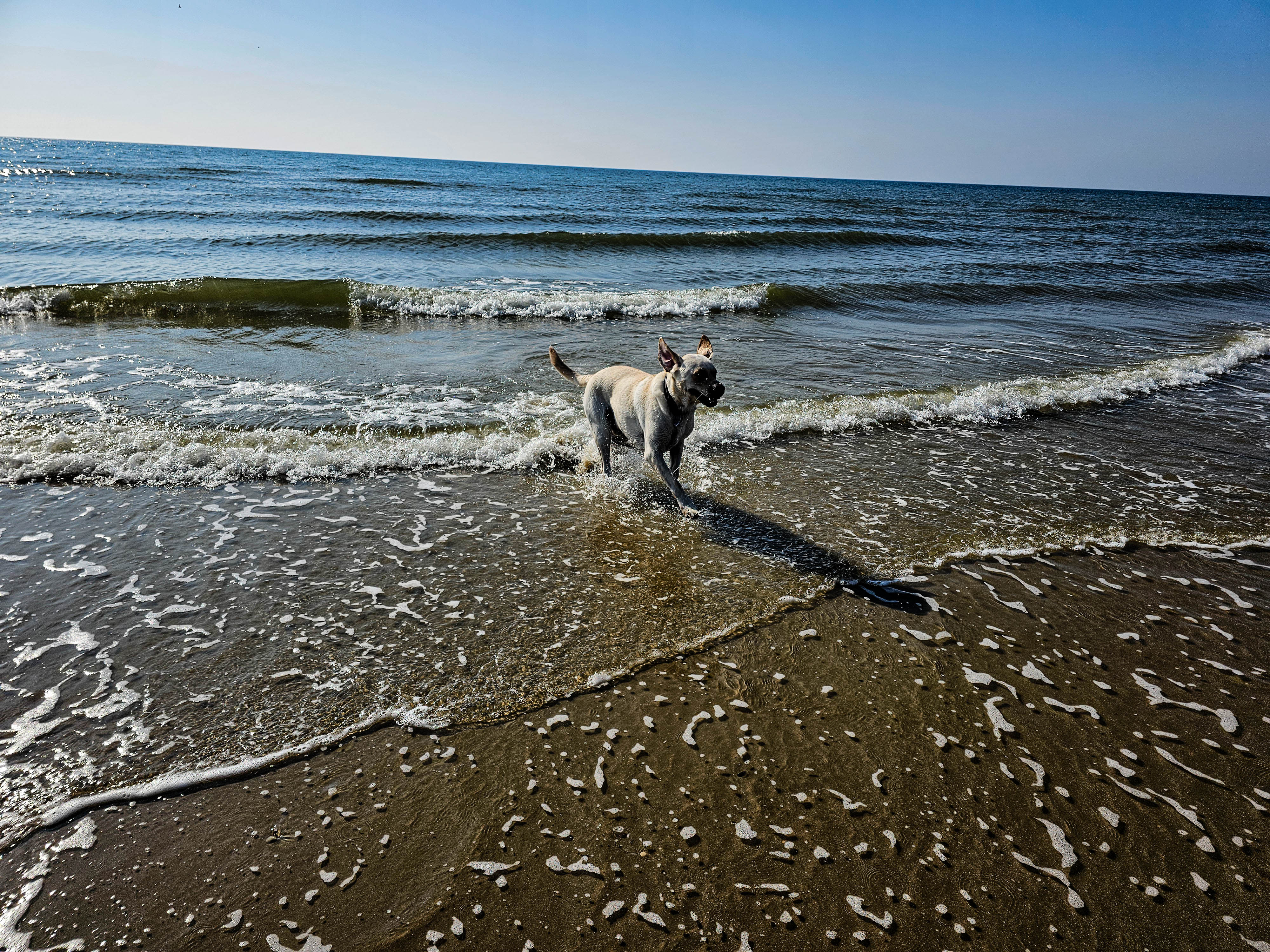 AdobeStock_1068849171