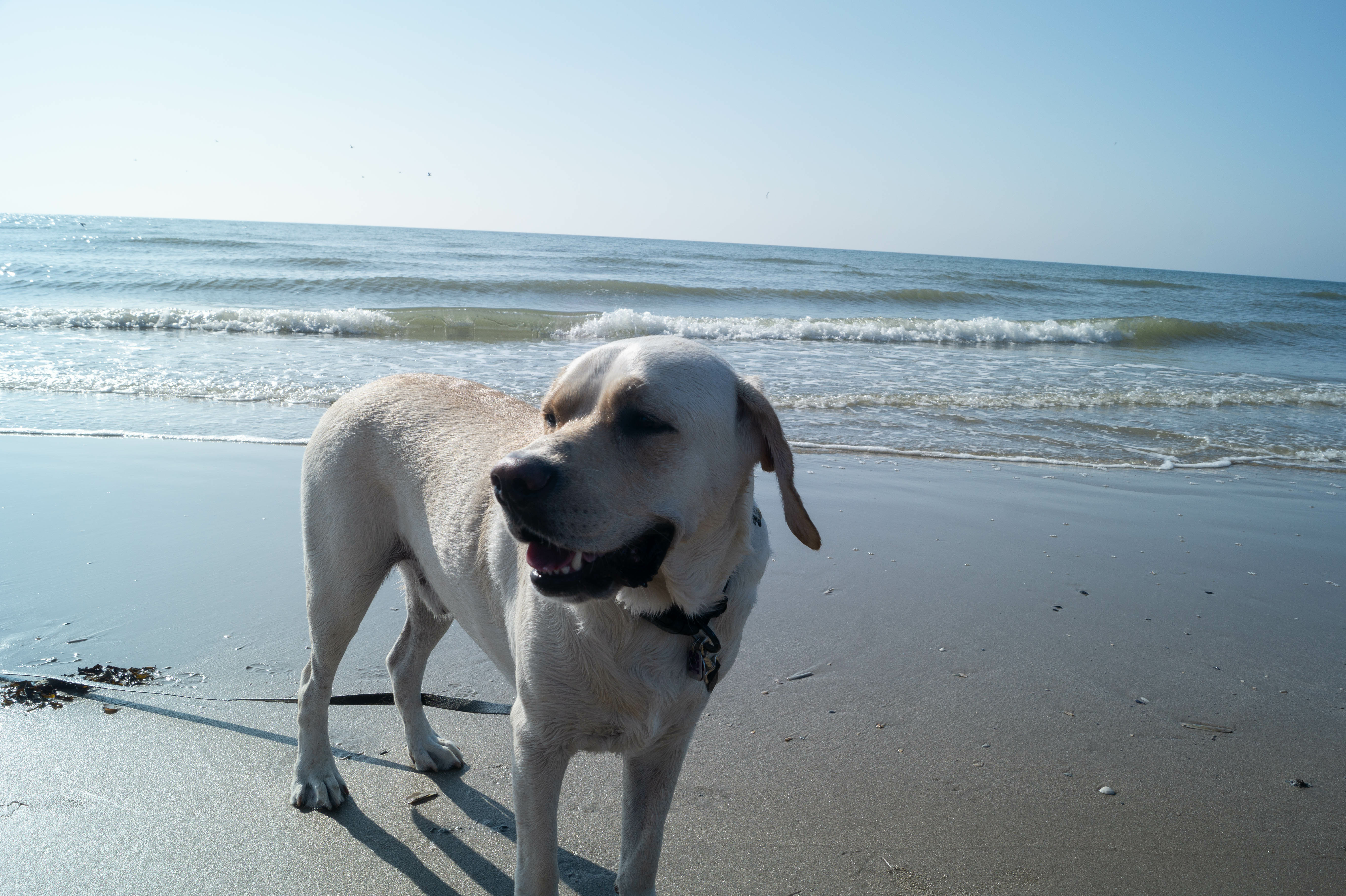 AdobeStock_1068849425