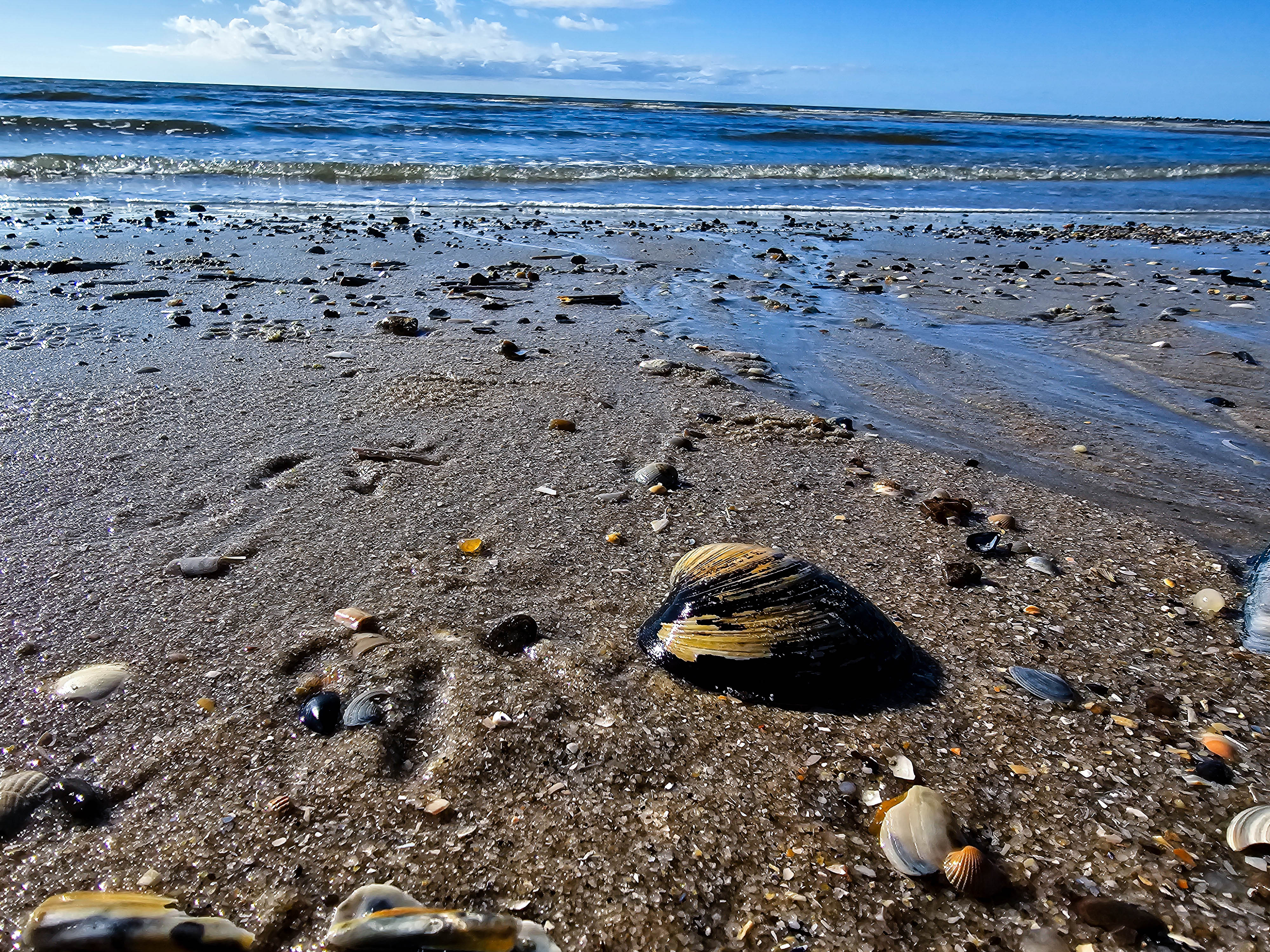 AdobeStock_1168467208