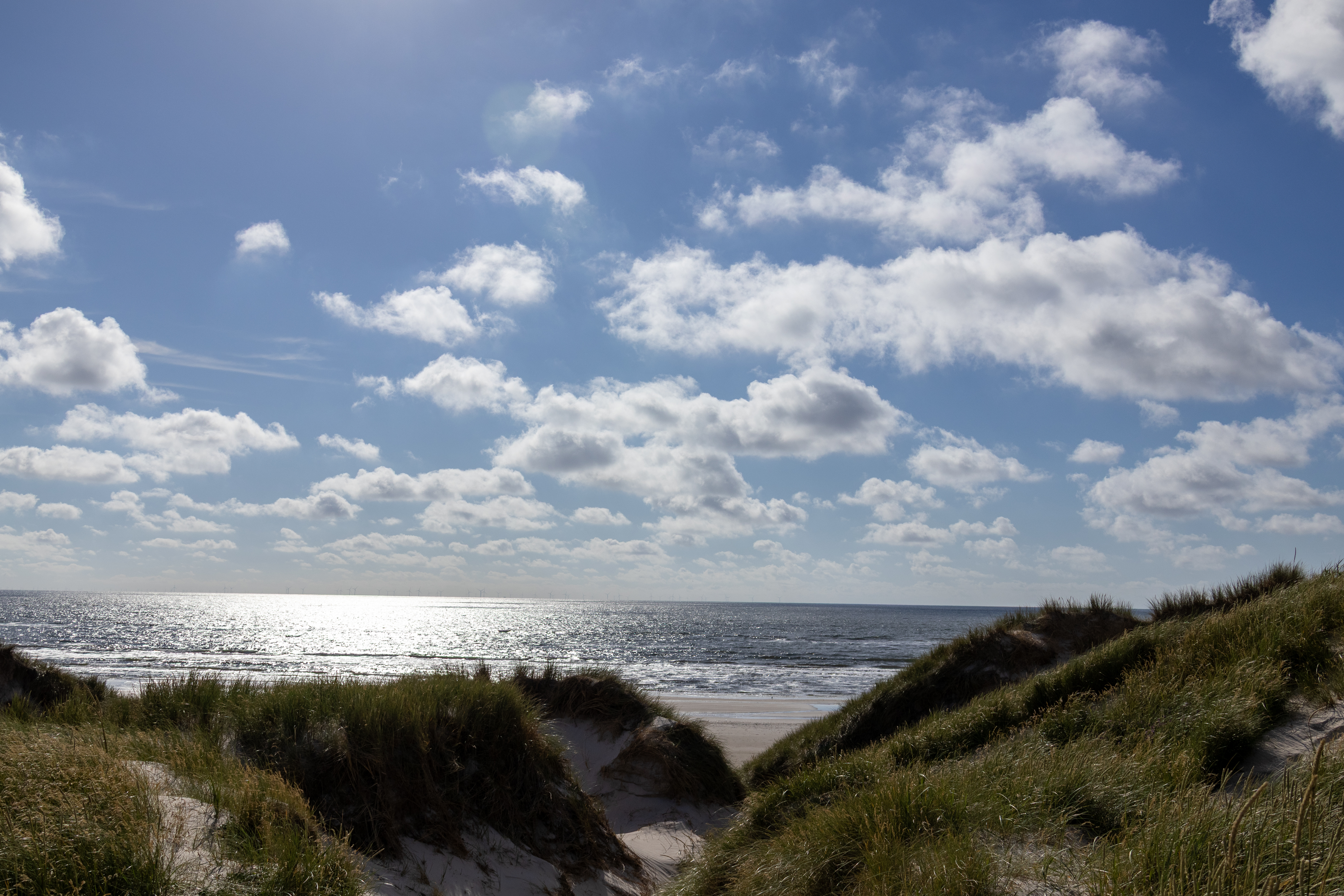 AdobeStock_1925098536