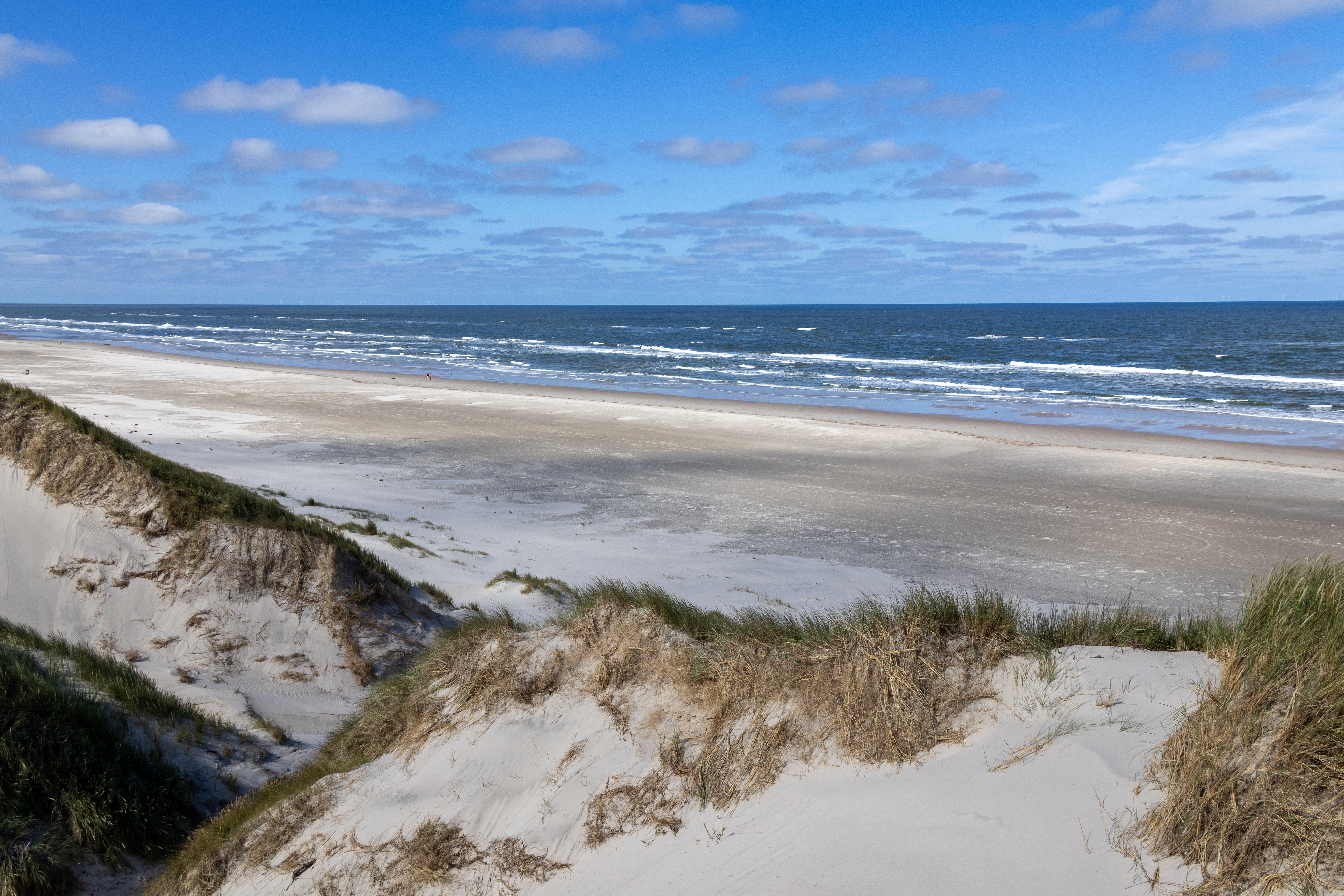 AdobeStock_1928335142