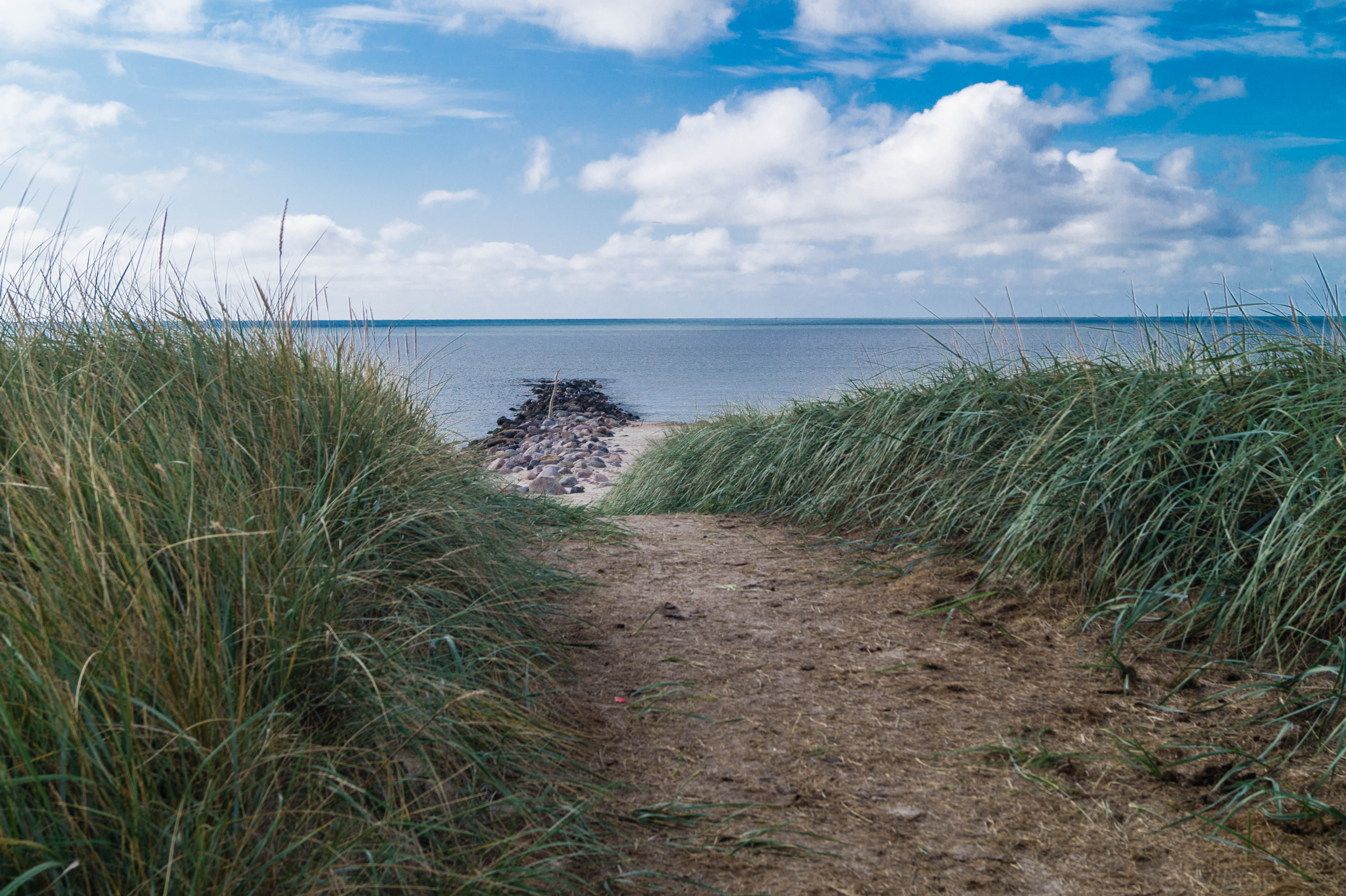AdobeStock_294205333