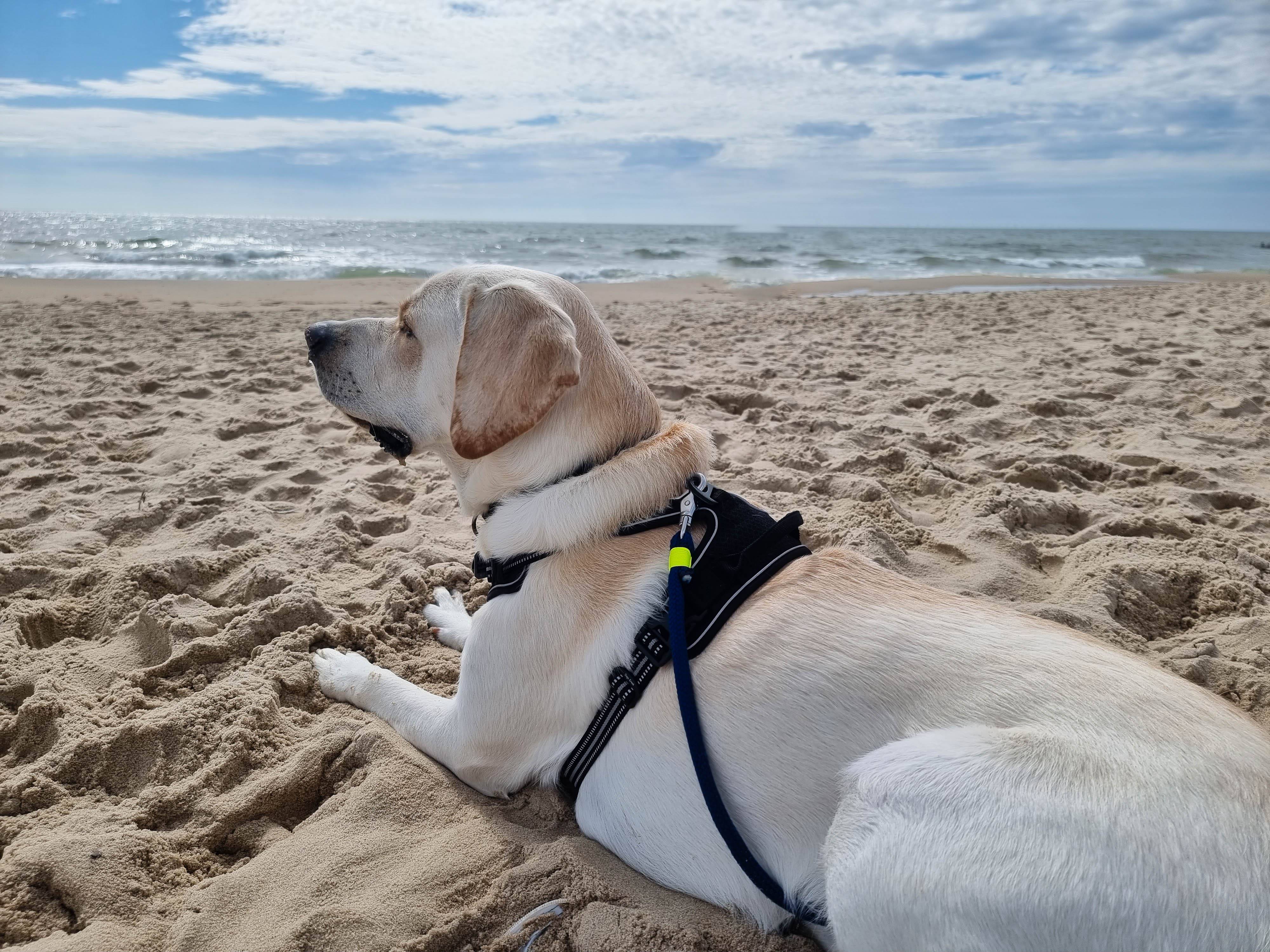 AdobeStock_652754974