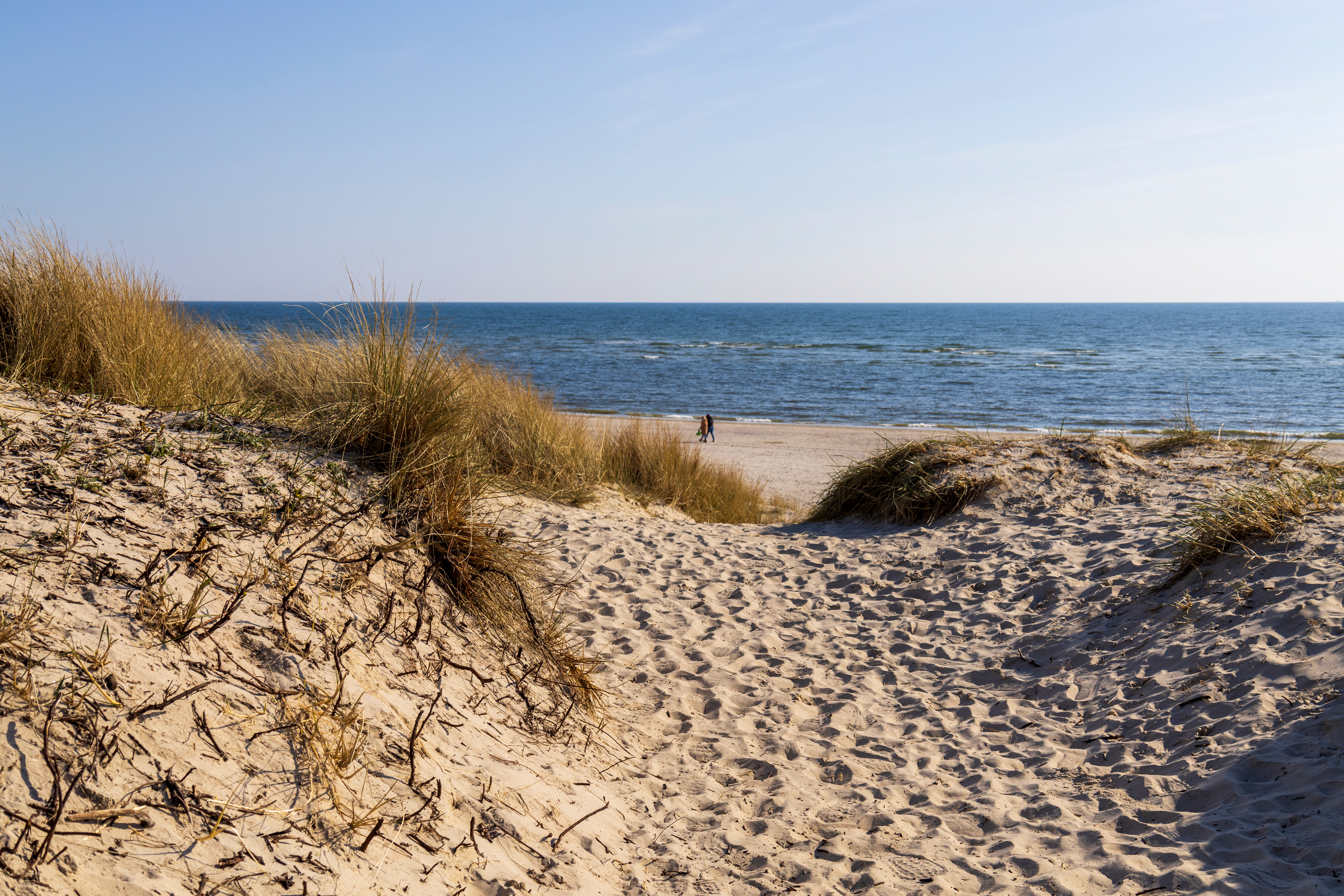 AdobeStock_803974064
