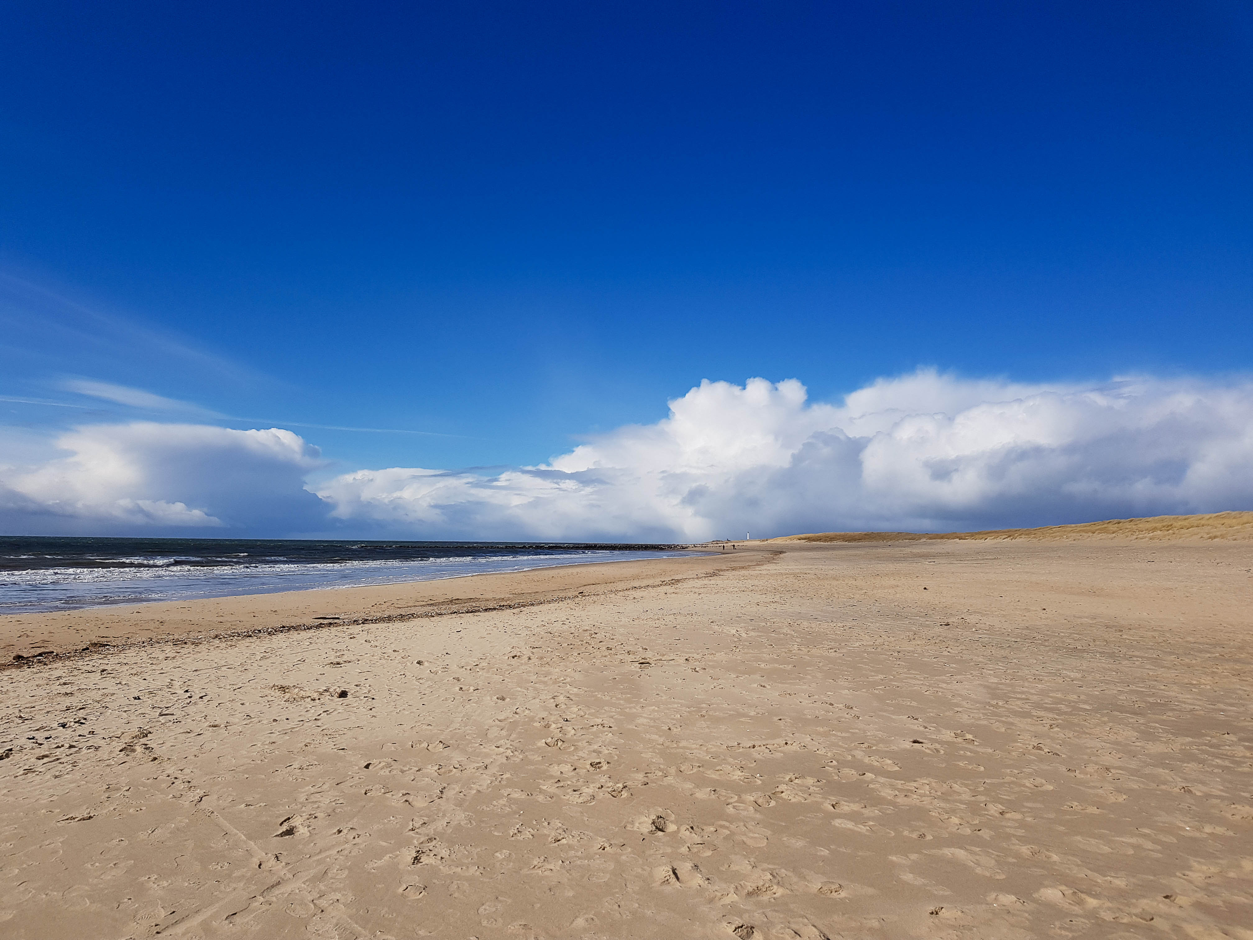 AdobeStock_594615978