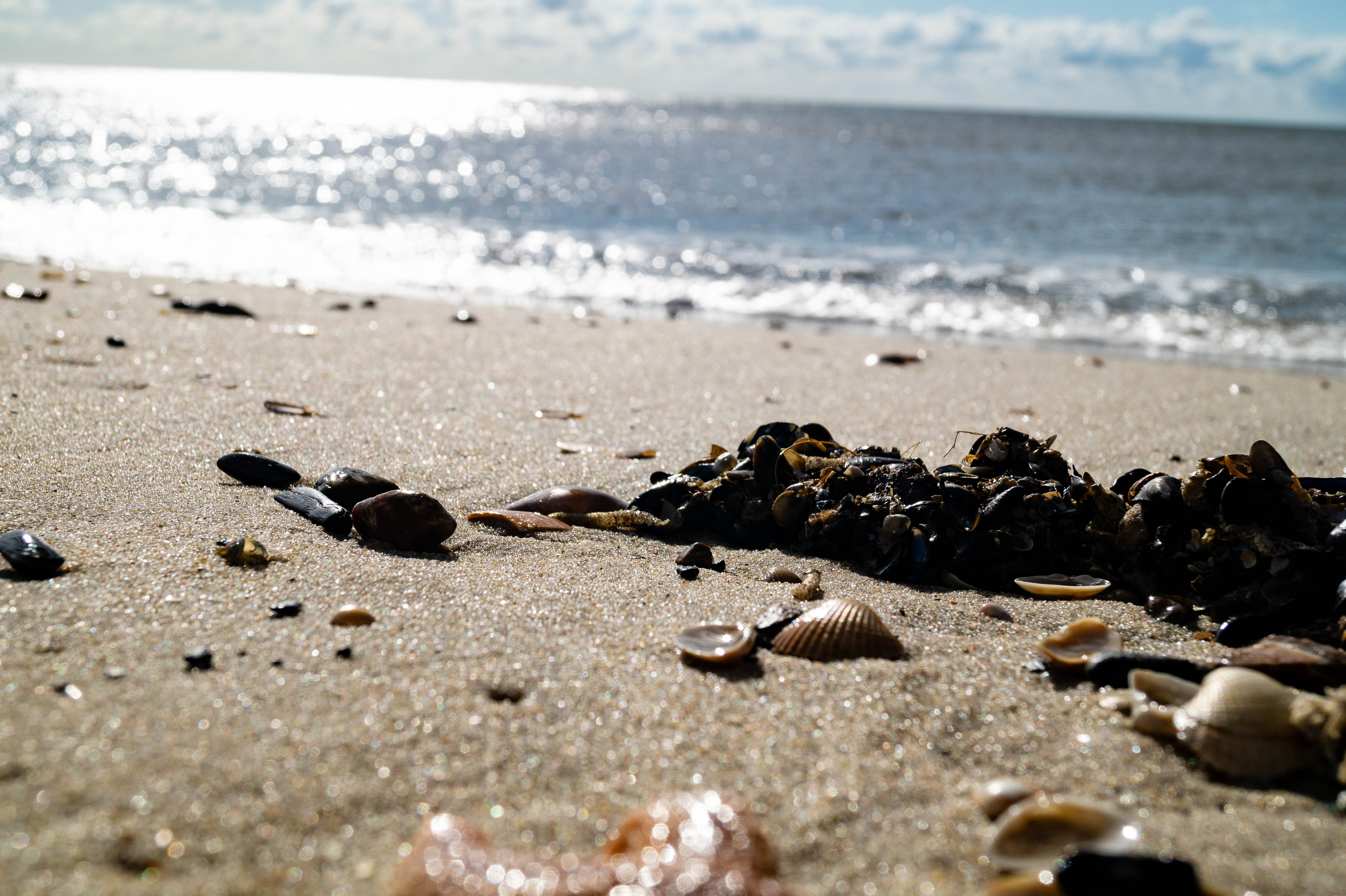 Depositphotos_765145174_XL