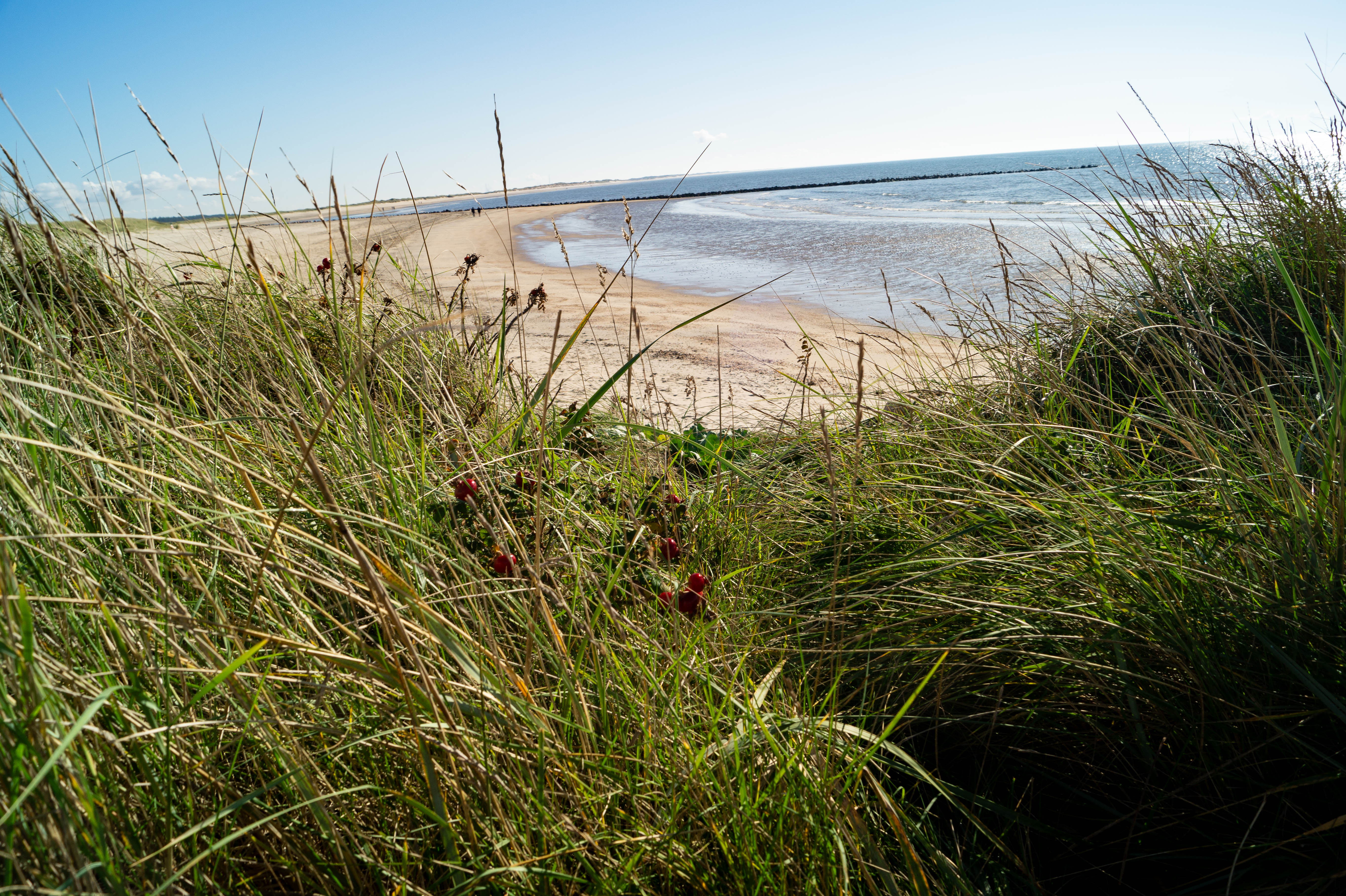 Depositphotos_765146136_XL