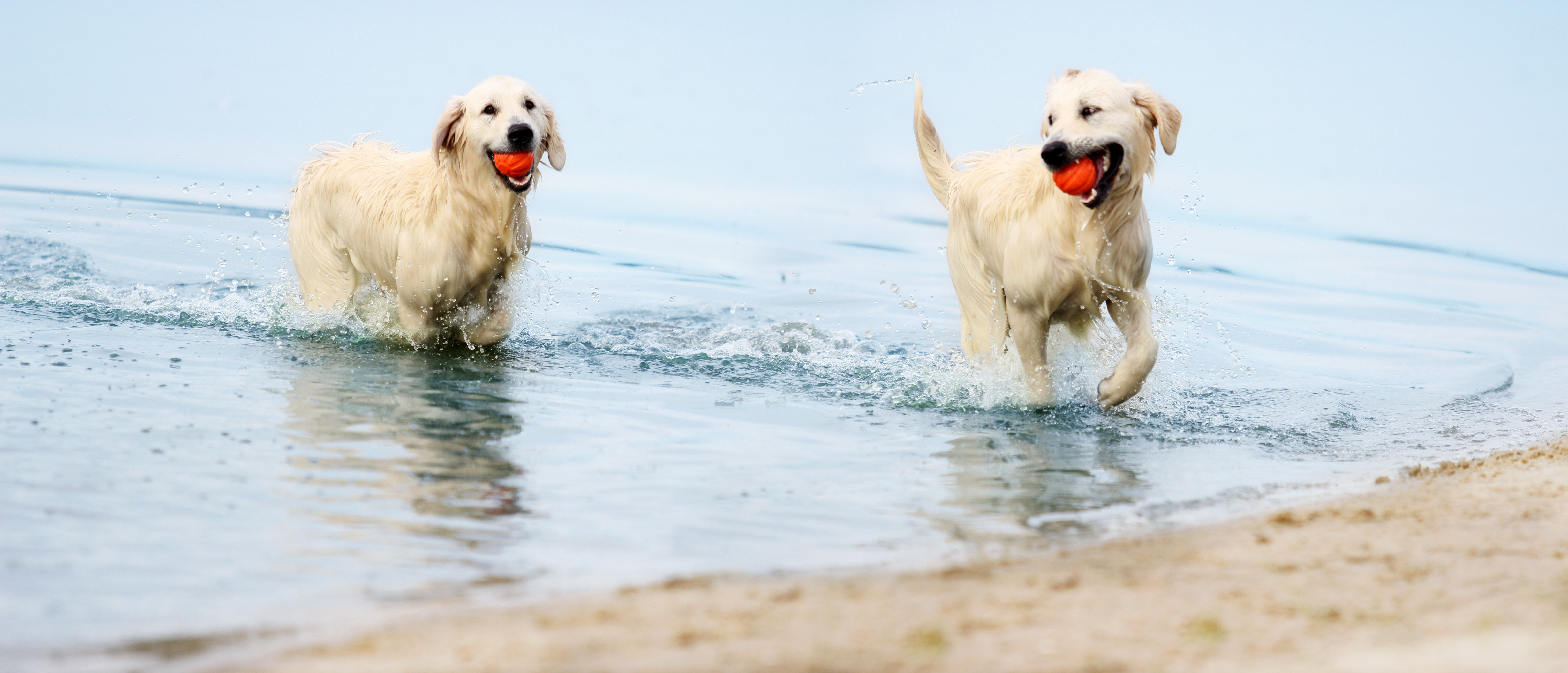 AdobeStock_166862481