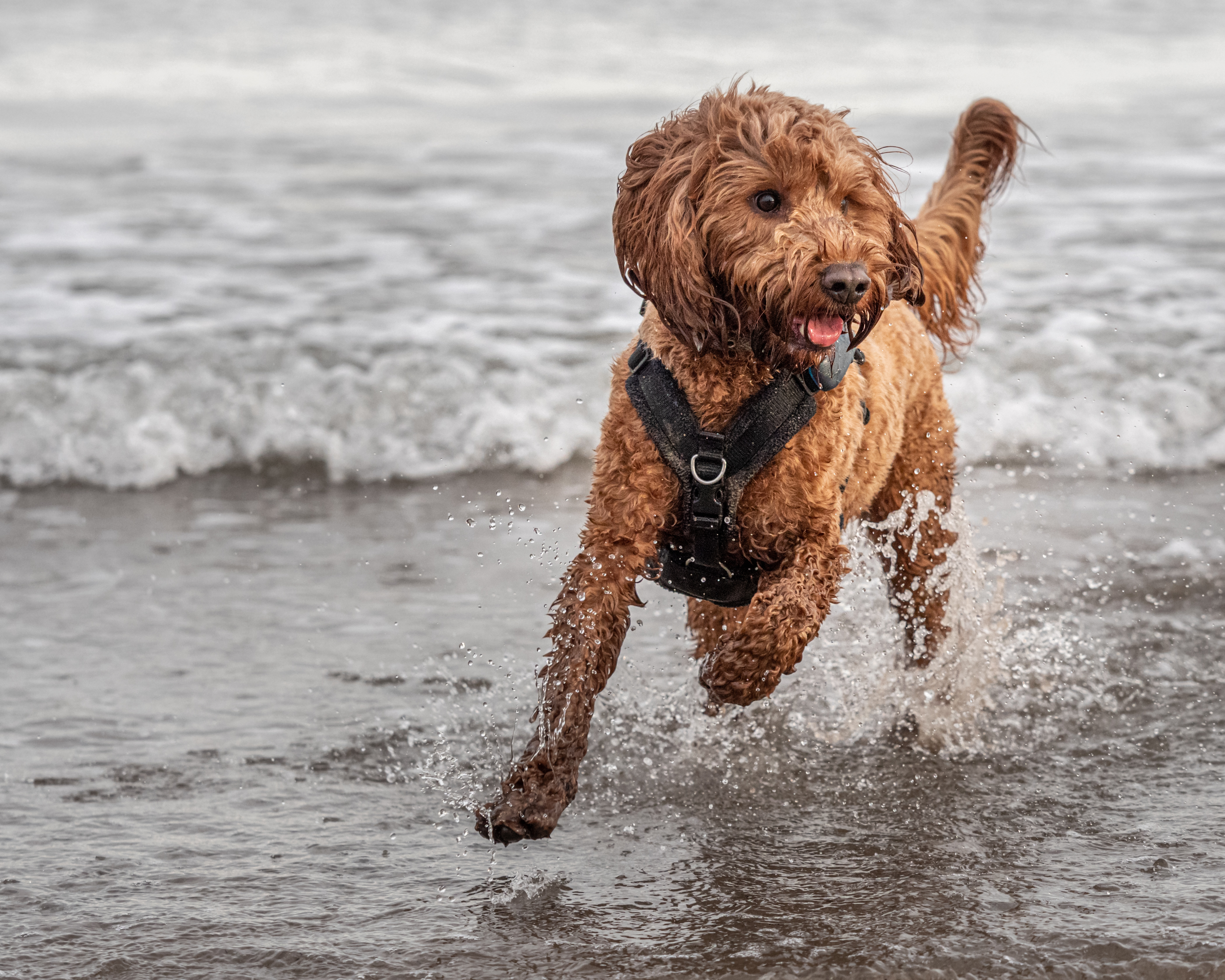 AdobeStock_319817600