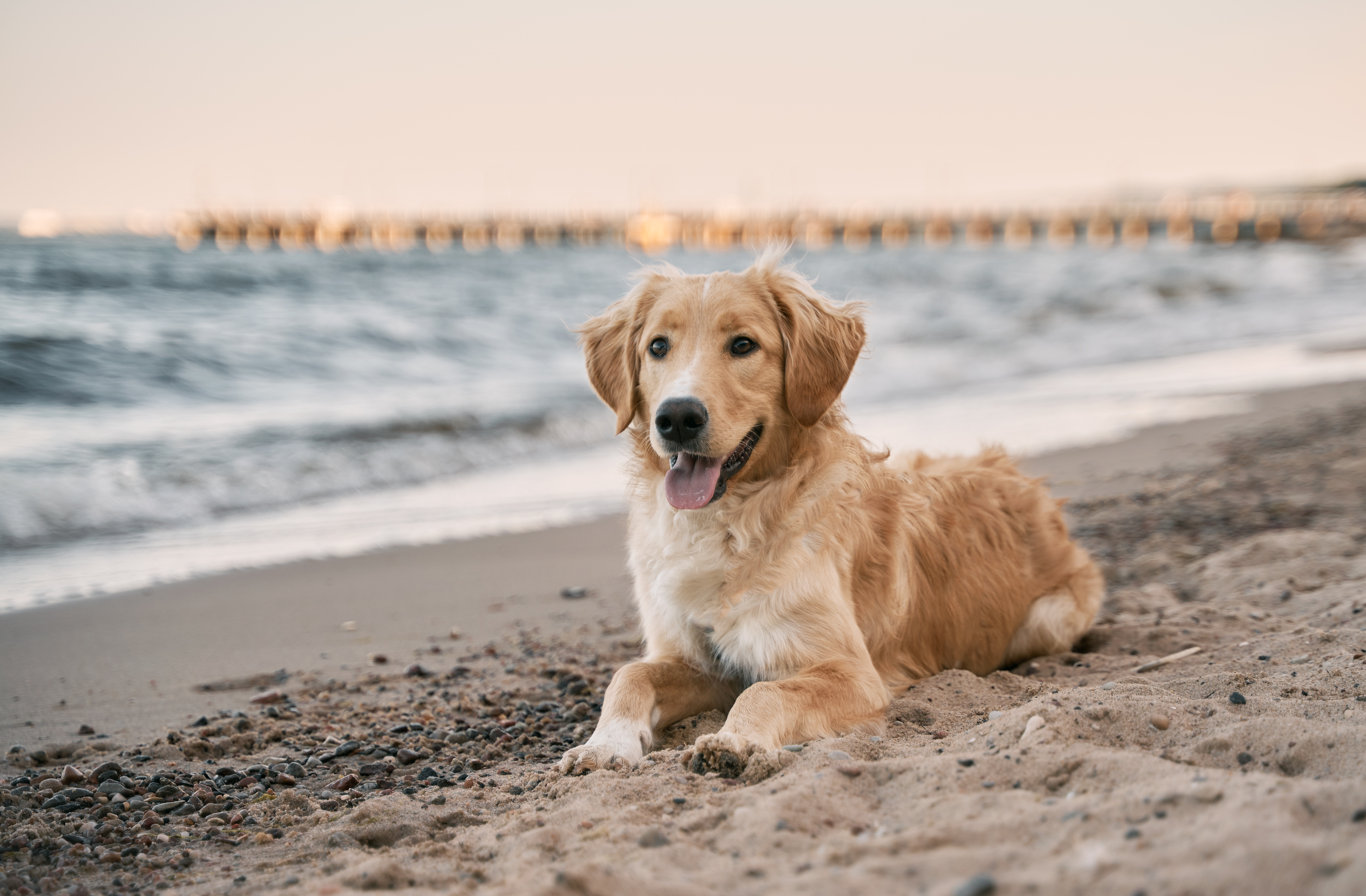 AdobeStock_459616813