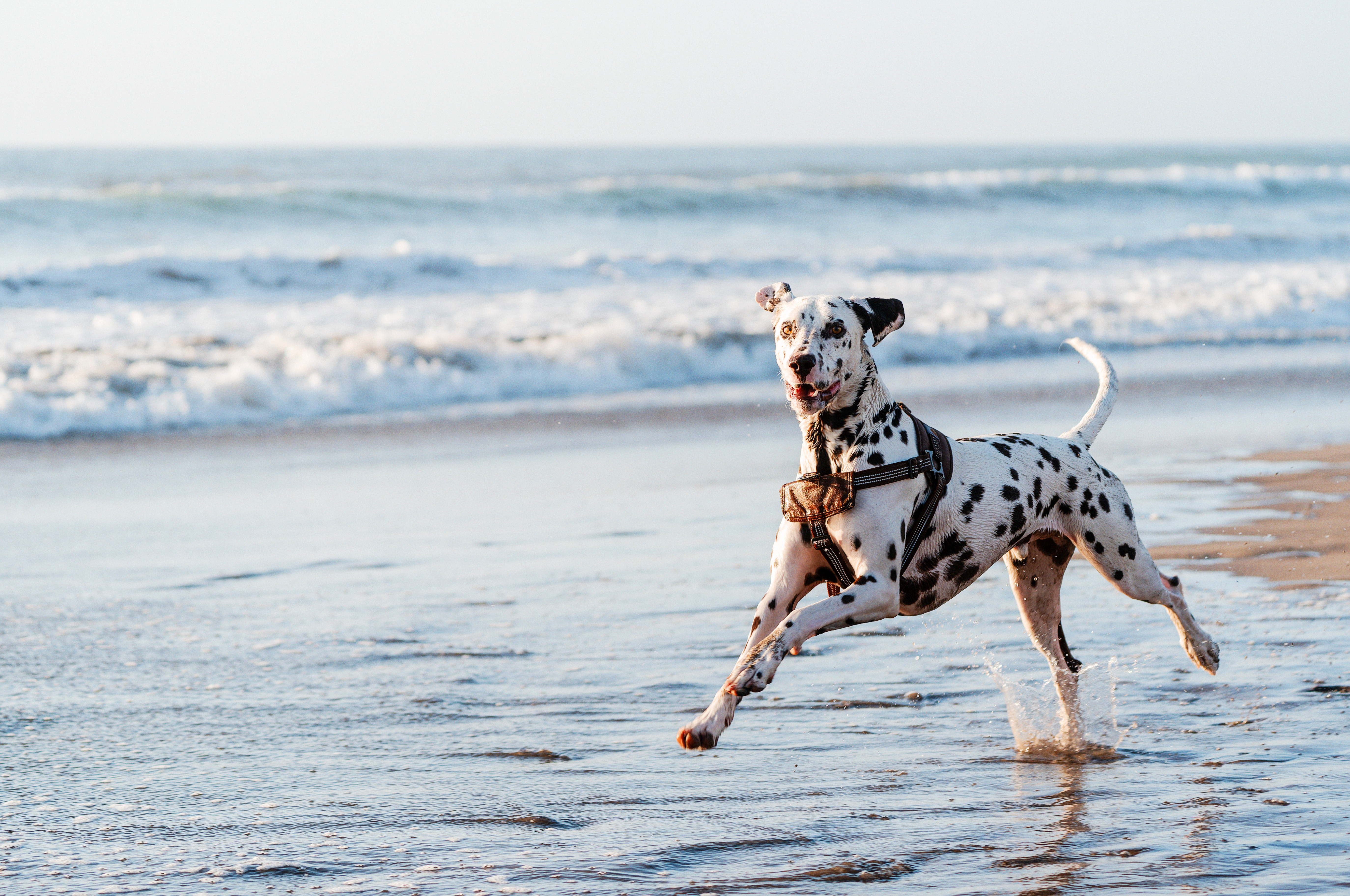AdobeStock_472915605