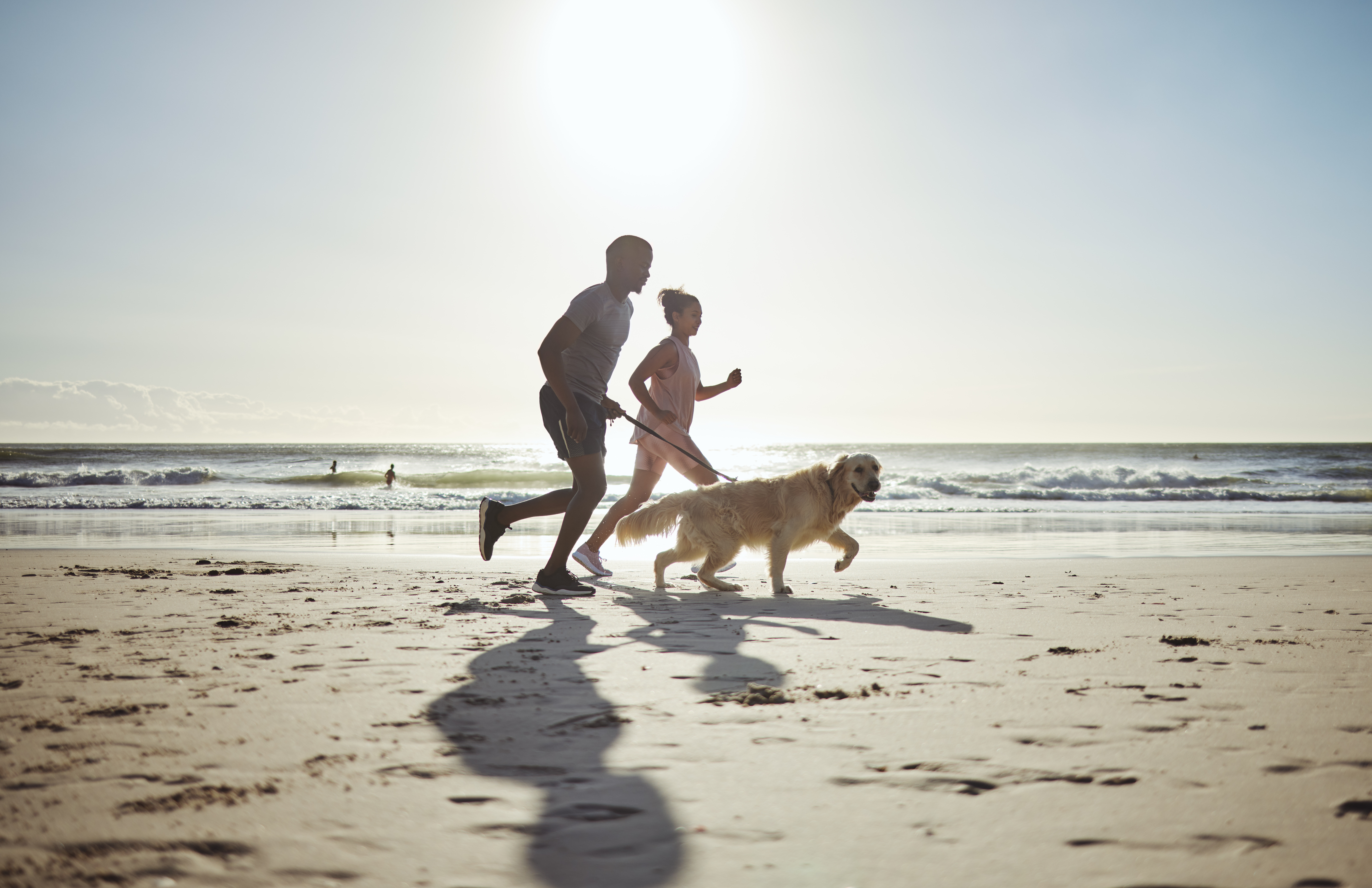 AdobeStock_545103216
