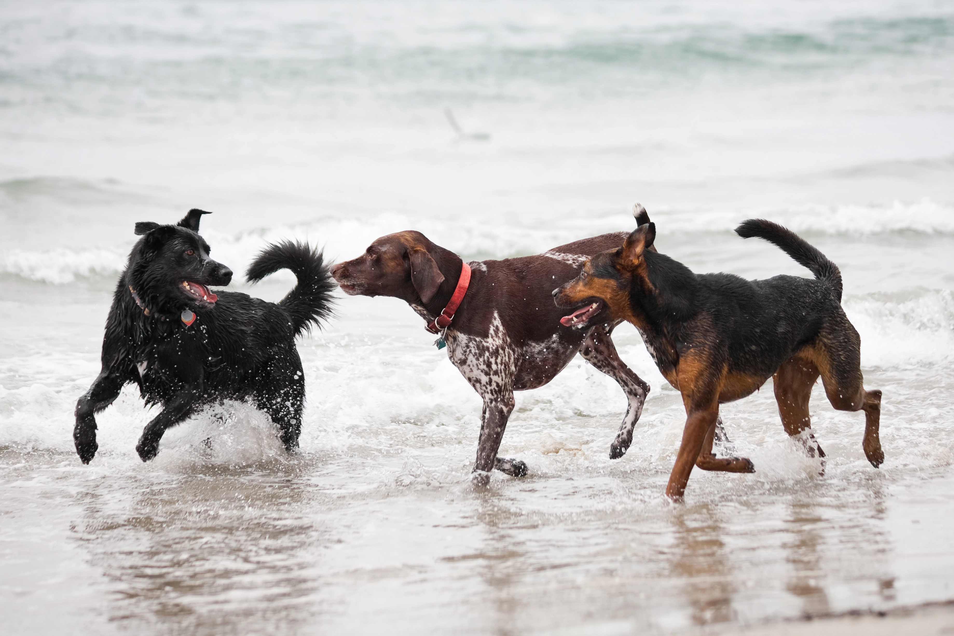 Depositphotos_10969738_XL