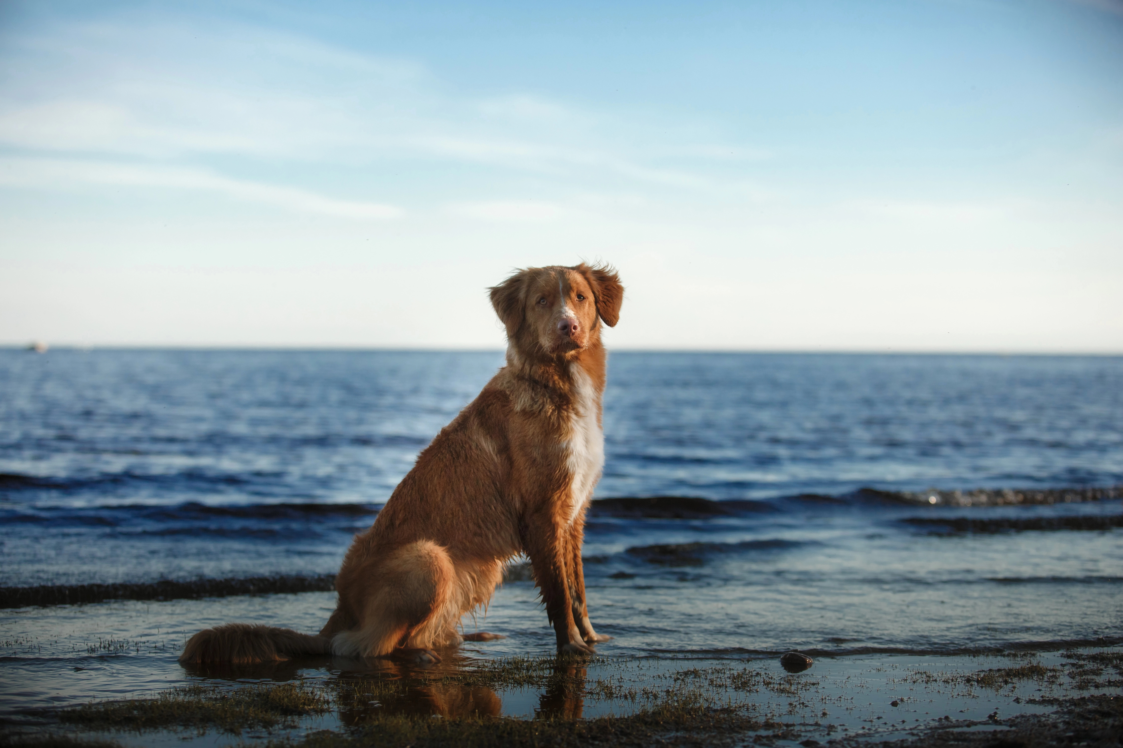 Depositphotos_111312084_XL