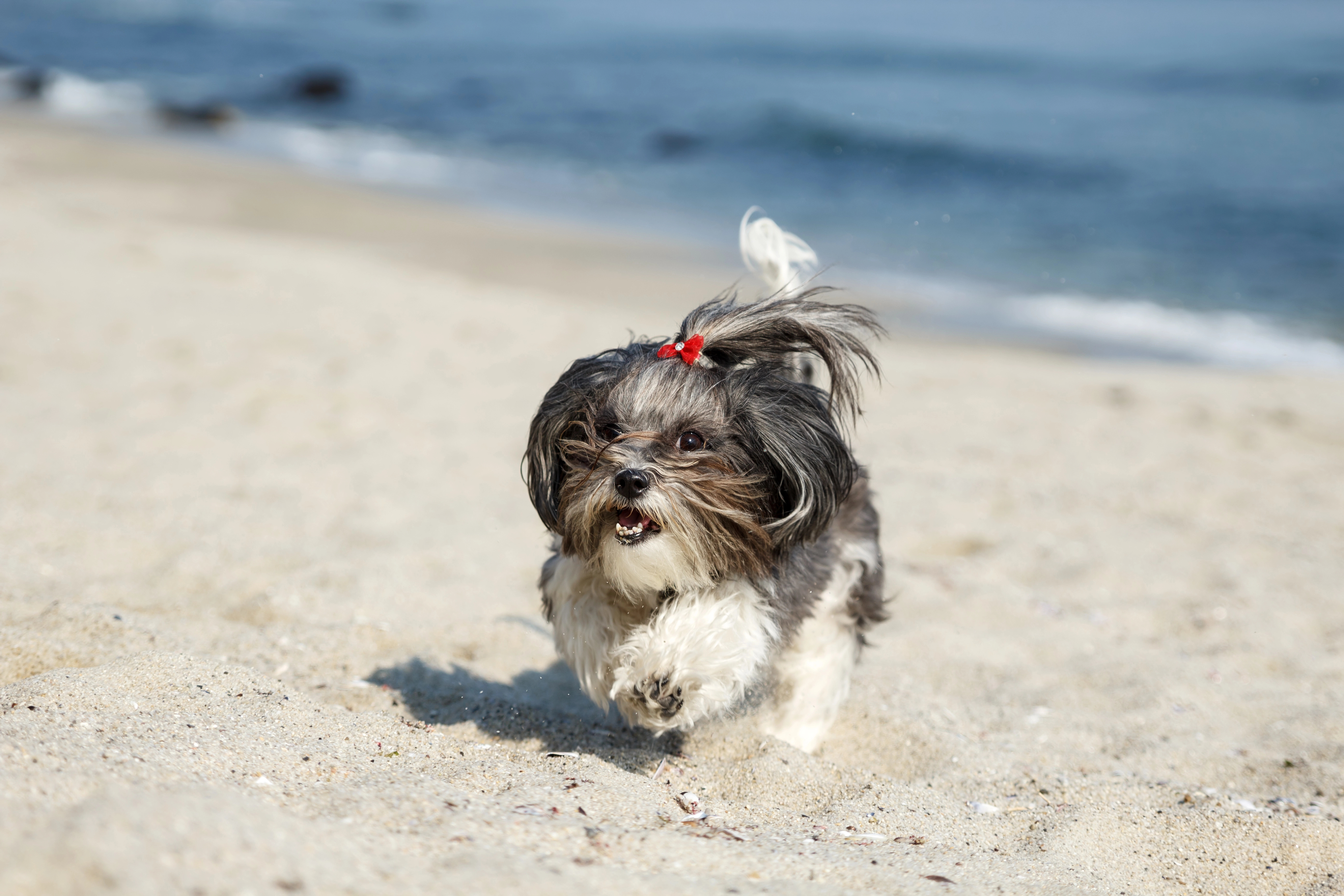 Depositphotos_144046717_XL