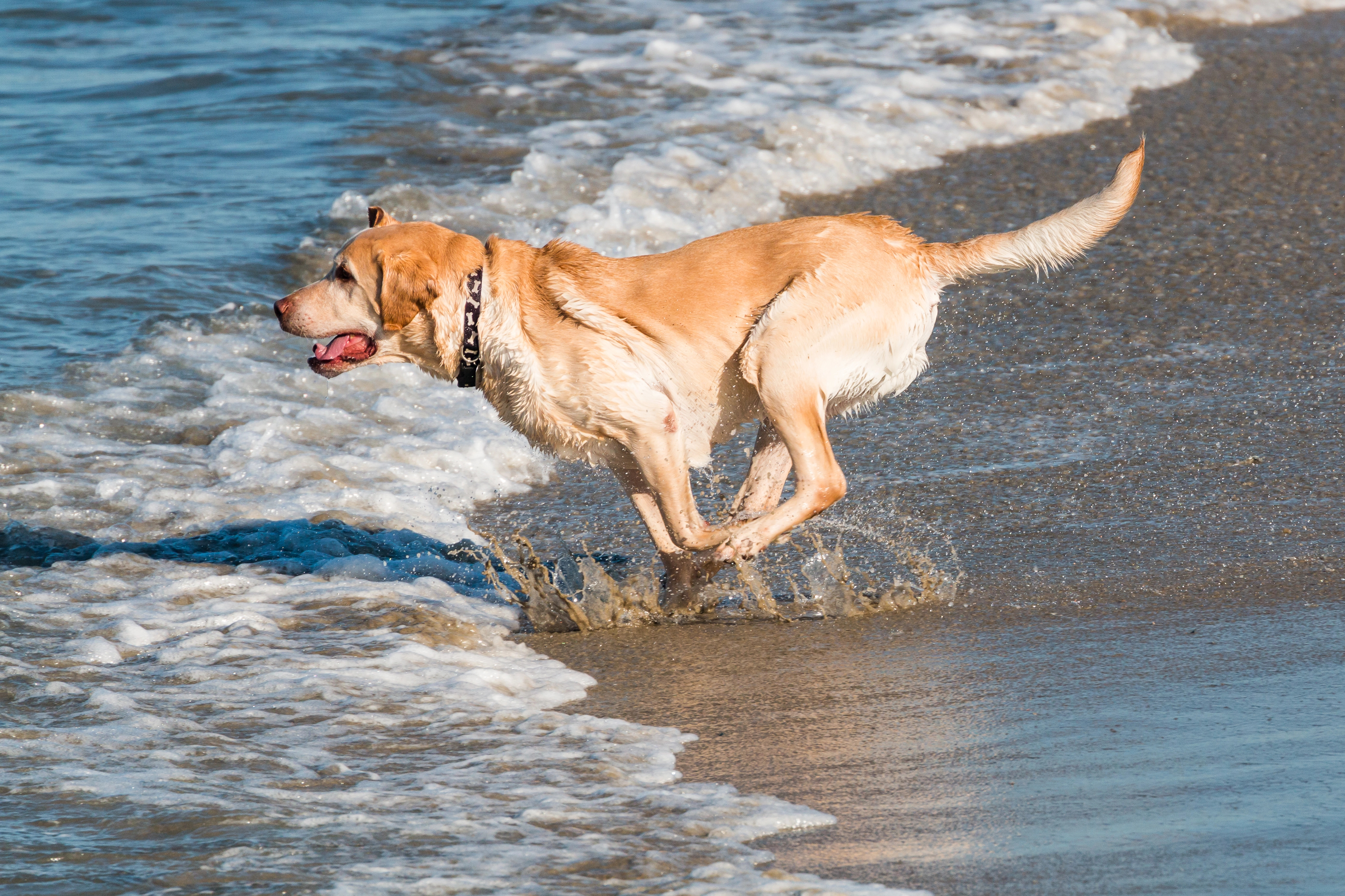 Depositphotos_183474128_XL