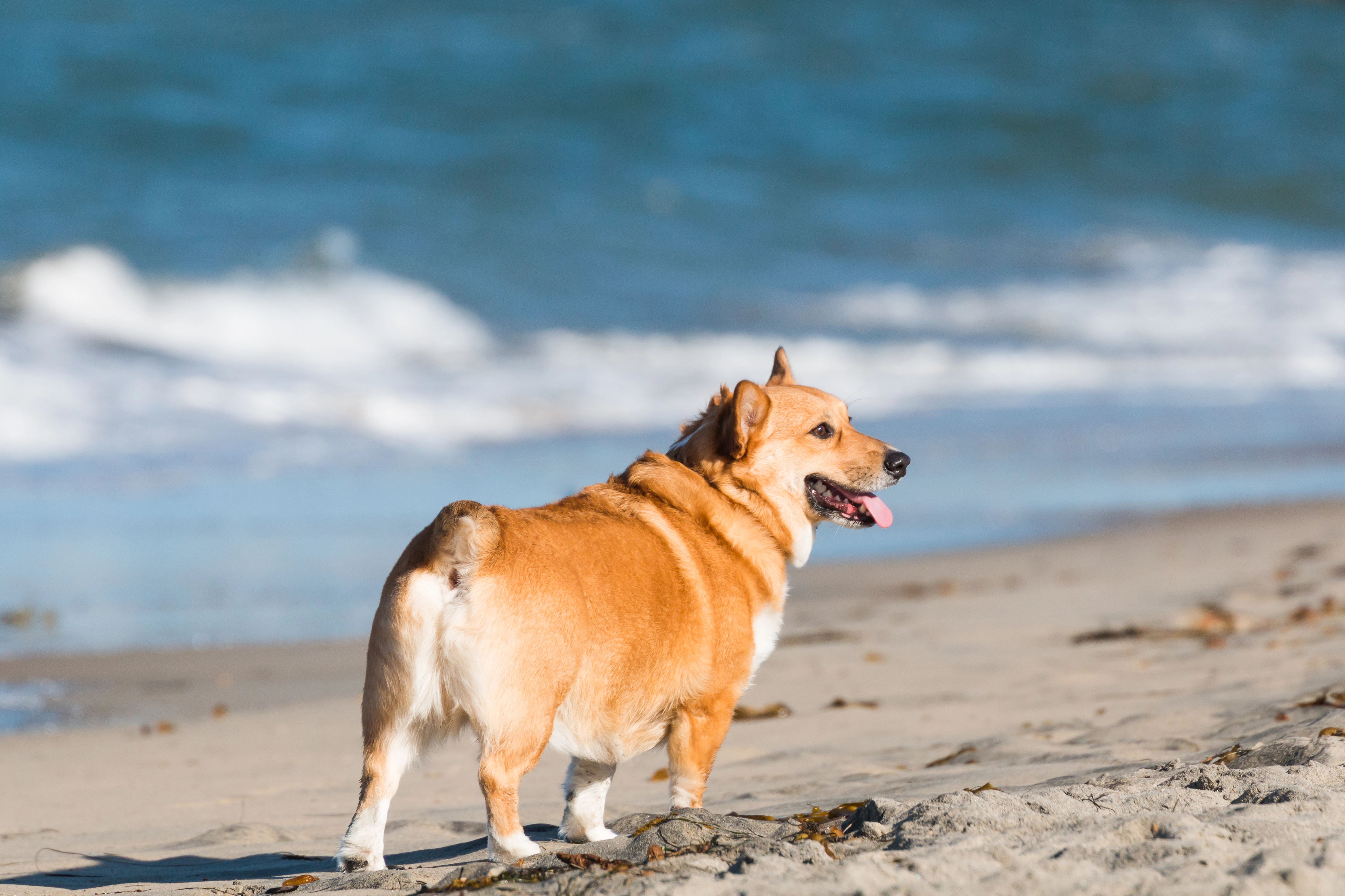 Depositphotos_188285070_XL