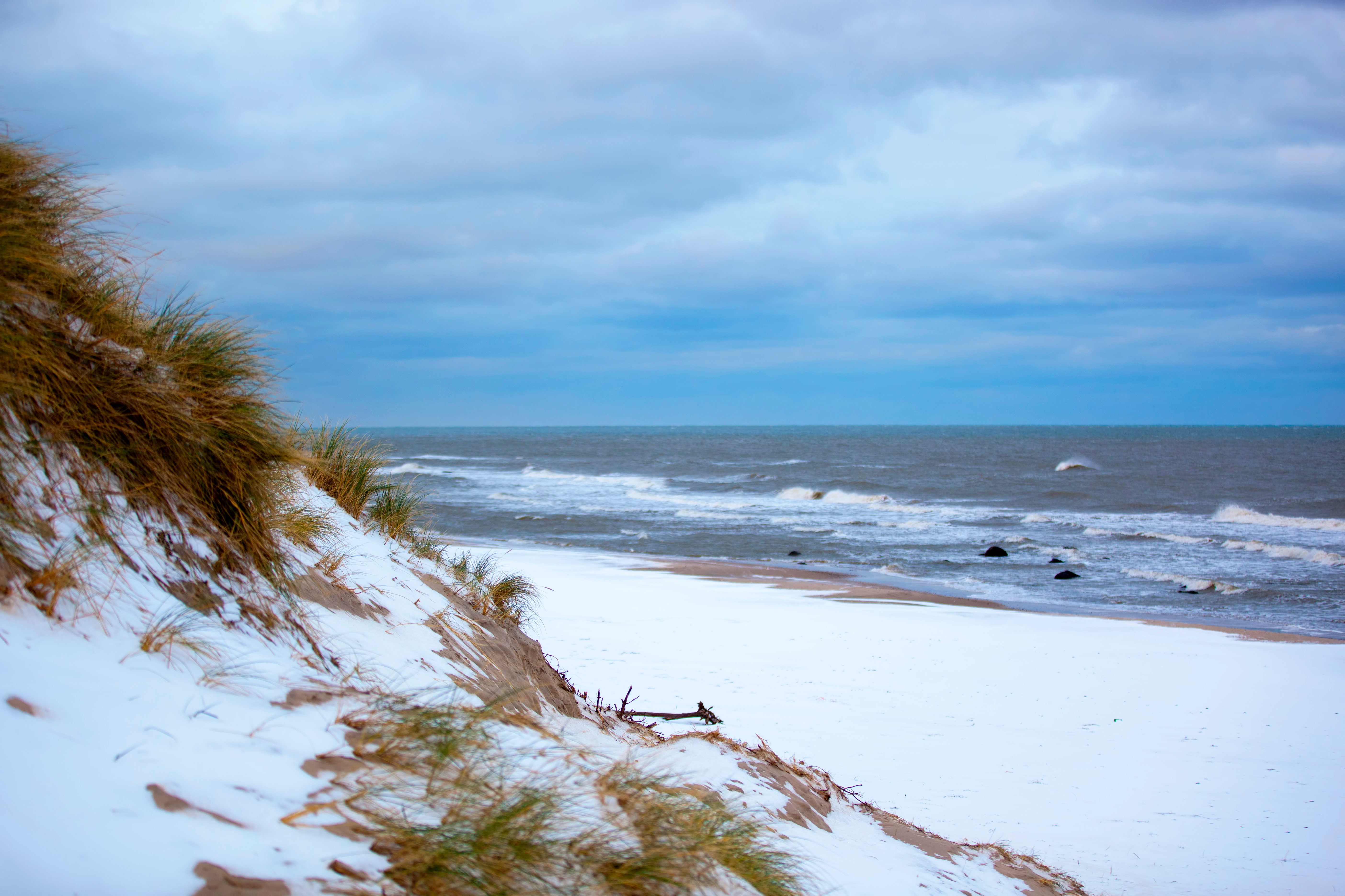 AdobeStock_128759720